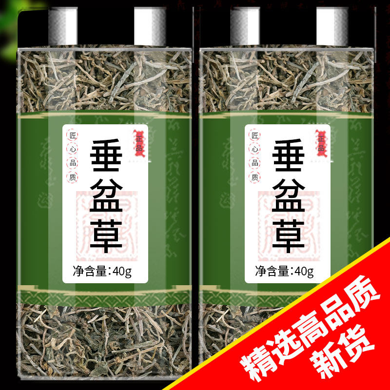 垂盆草中药材的功效与作用正宗锤盆草泡茶药用食用干货非野生特级