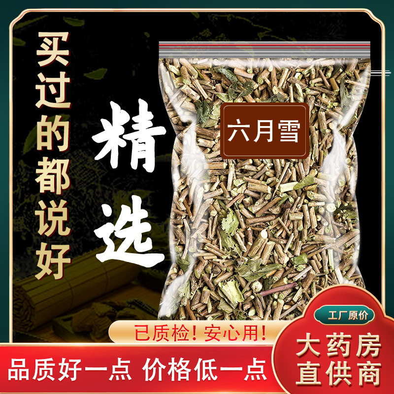 六月雪路边金满天星白马骨硬骨柴自采旗舰店正品中草药路边荆野生