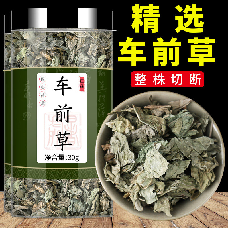 车前草非野生中药材新鲜正品干货车钱草的功效泡茶泡水喝车前草茶
