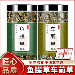 鱼腥草车前草中药材正品旗舰店新鲜车钱草泡水泡茶喝的功效与作用
