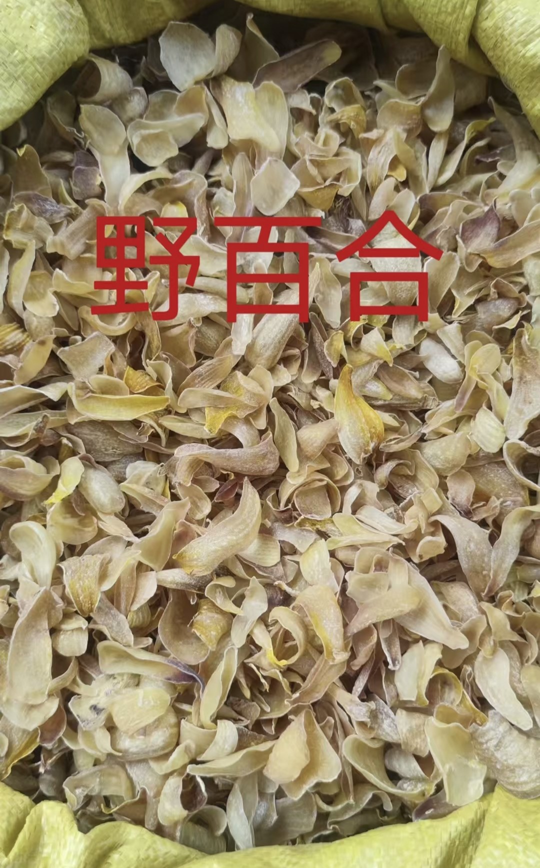 野生百合干无硫新货干货食用泡水煲粥料煲汤材料自然晾晒干百合干
