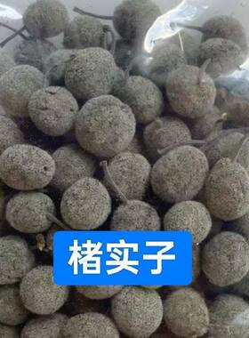 野生构树楮实子原生态果实干品野生杨梅晒干新鲜构树果