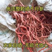 秦岭野生丹参中药材无硫正品 土丹参野生丹参整株非种植山丹参干货