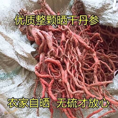 秦岭野生丹参干个子无硫正品土丹参野生丹参整株非种植山丹参干货
