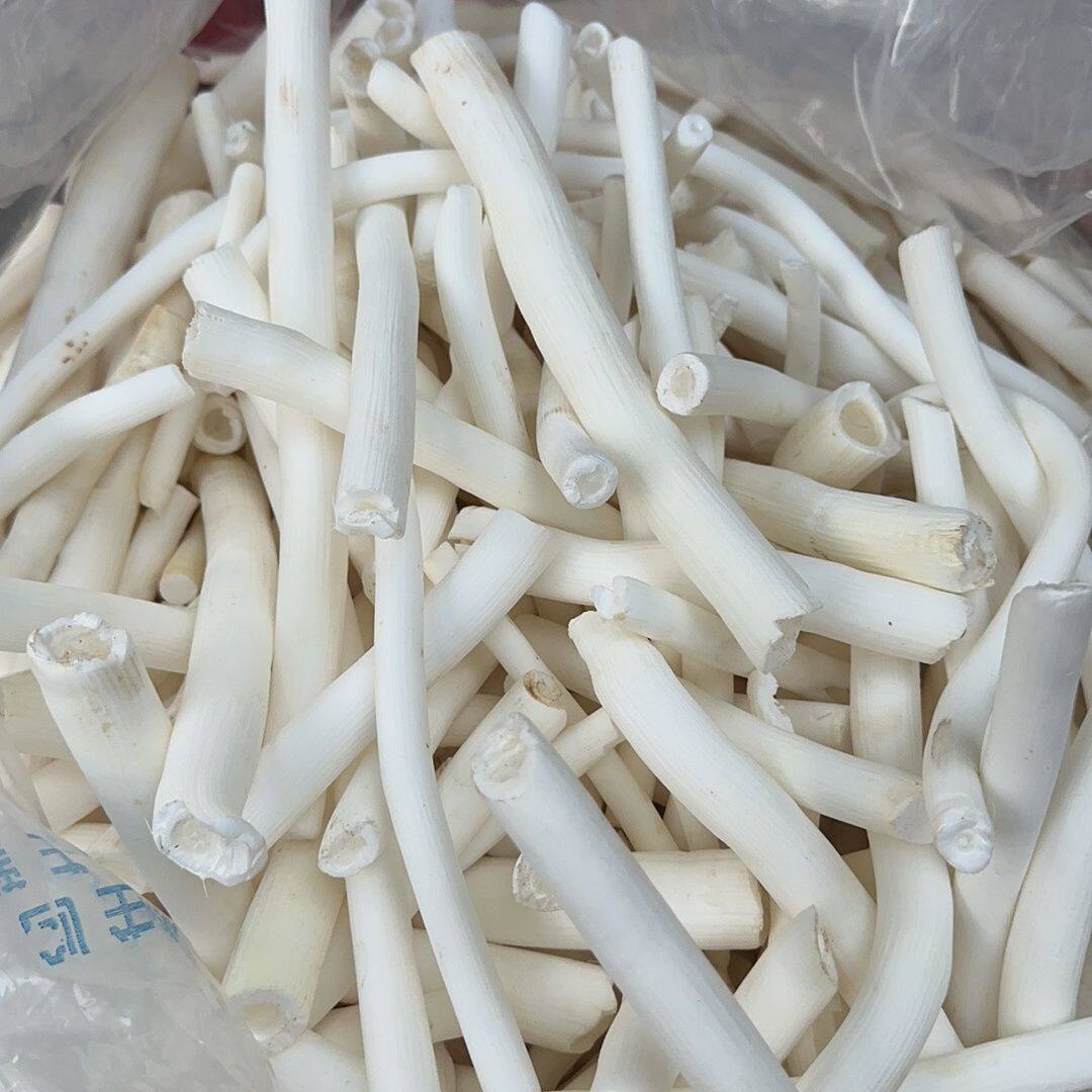 秦岭深山大通草大通草花通草四川通草下奶茶哺乳期煲催奶汤