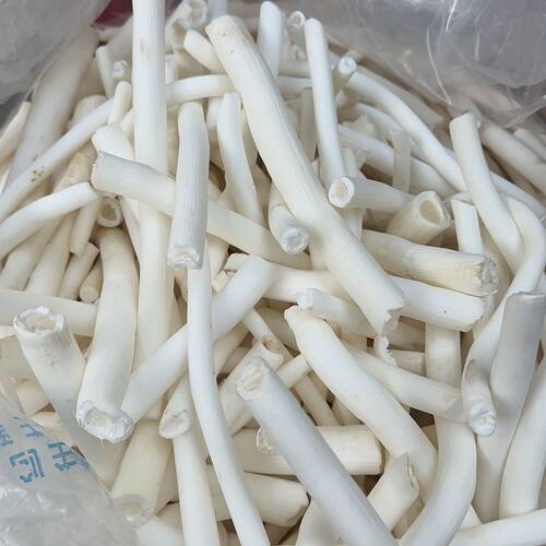 秦岭深山大通草大通草花通草四川通草下奶茶哺乳期煲催奶汤