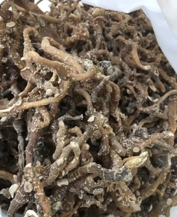 野生玉竹中药材干货新鲜无硫玉竹茶秦岭小白鸡葳蕤尾参条南沙参