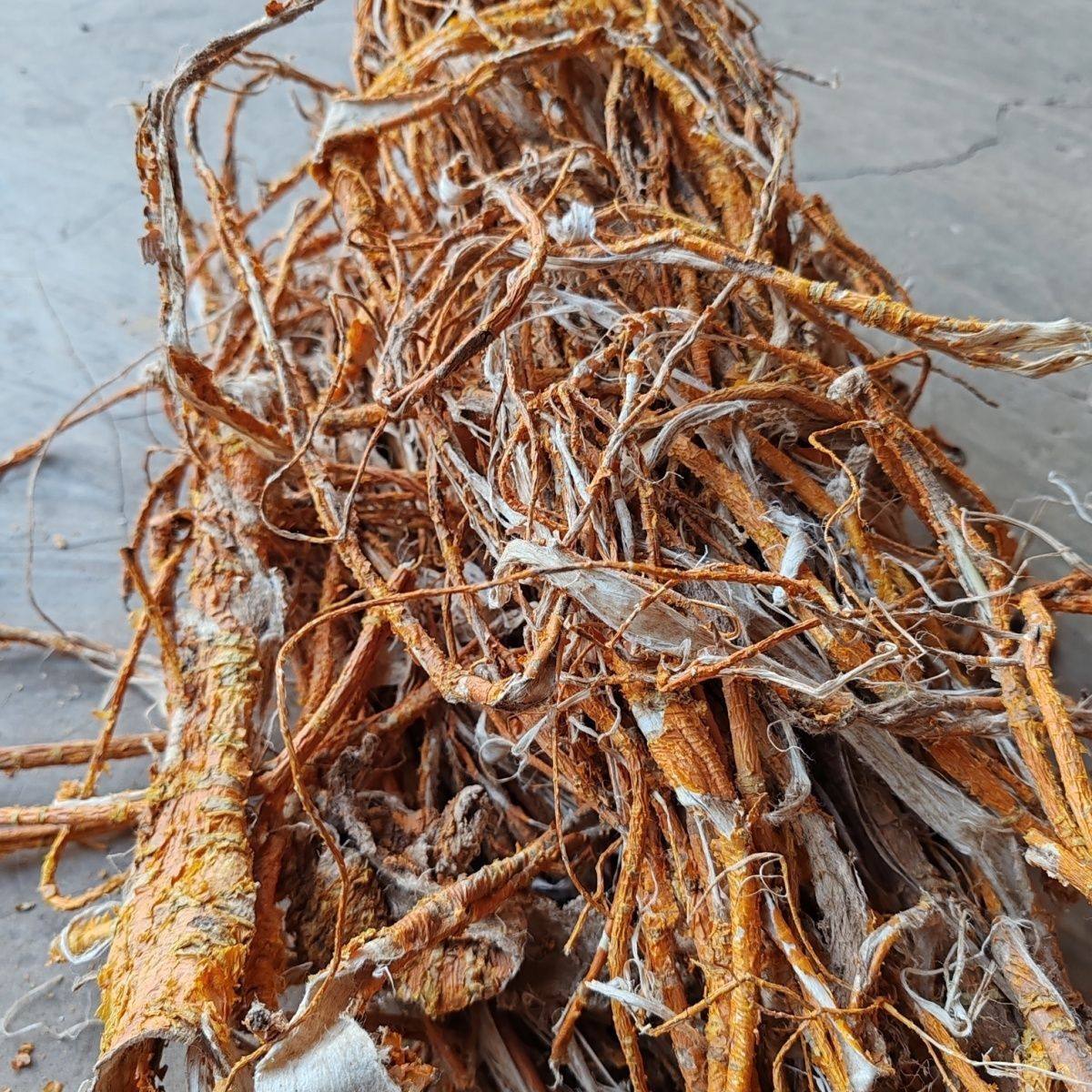 桑白皮250g秦岭野生桑树根皮老桑皮新干货桑树根皮洗头去屑