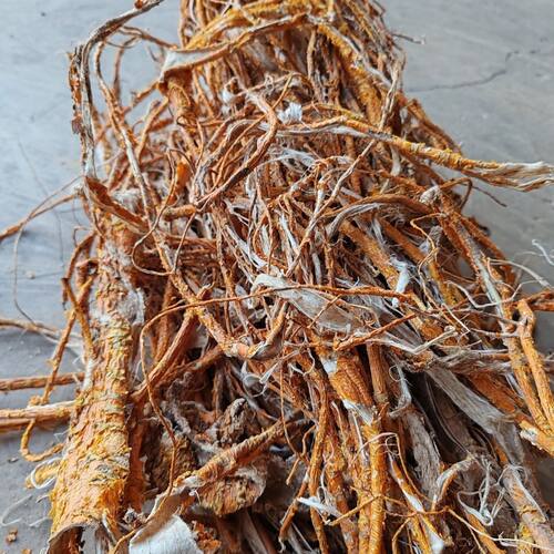 桑白皮250g秦岭野生桑树根皮老桑皮新干货桑树根皮洗头去屑