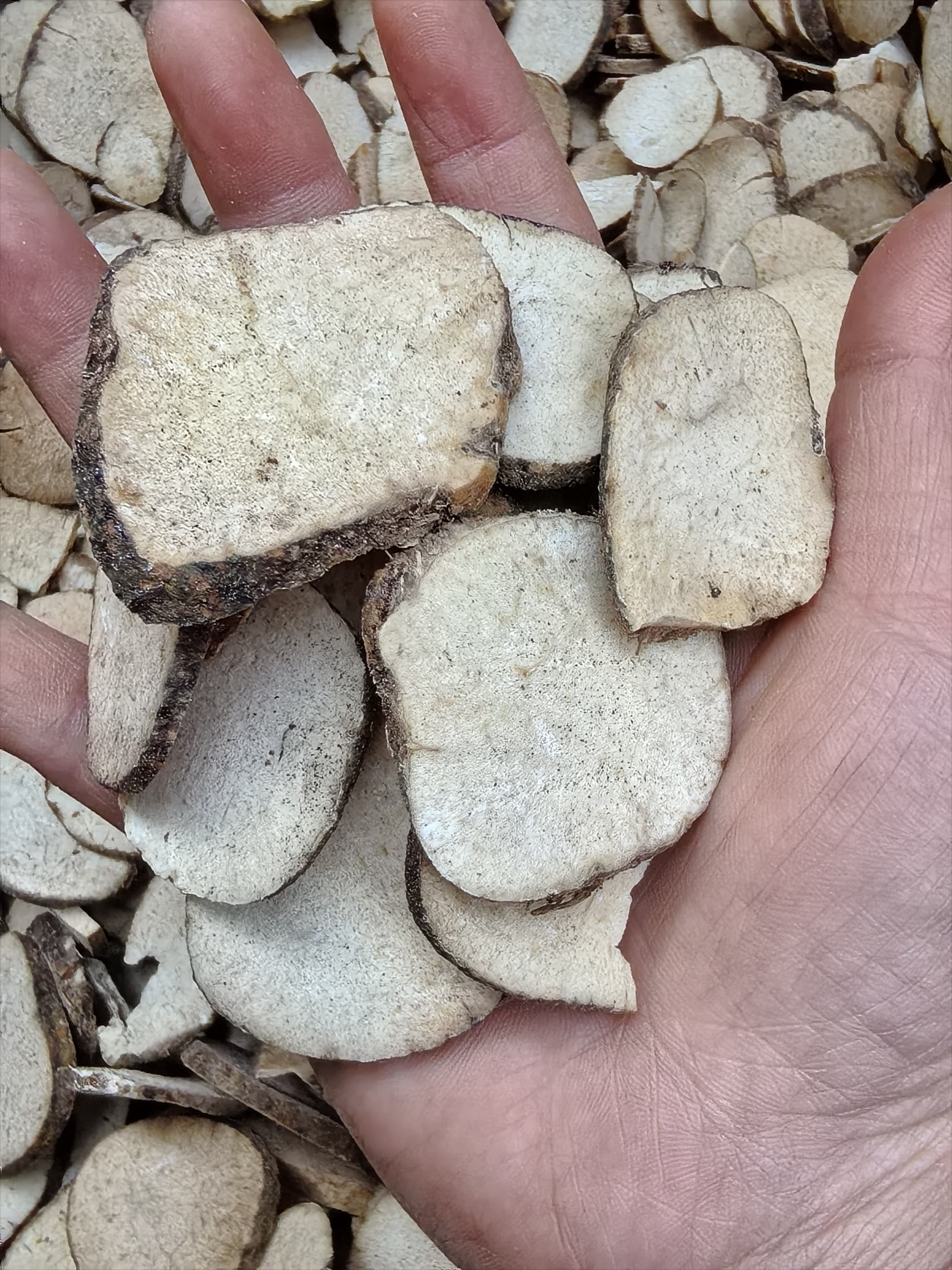 四川野生泽泻泽泄无硫泽泻干片泡茶水250g500克新货