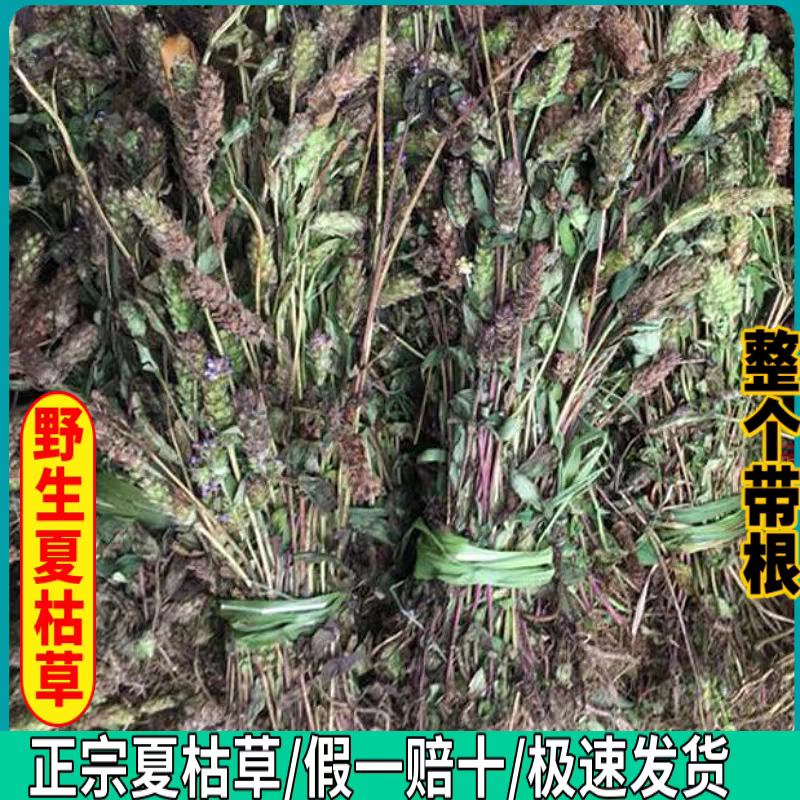 野生夏枯花新货野生夏枯草新鲜干货白毛夏枯草夏菇球正品泡茶