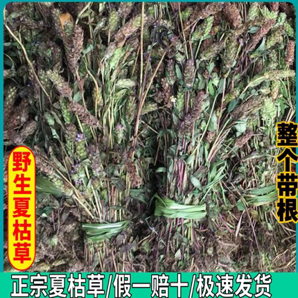 野生夏枯花新货野生夏枯草新鲜干货白毛夏枯草夏菇球正品泡茶