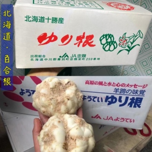 北海道百合根2KG 5KG装软糯香甜日本进口品种国产百合根盒装深圳