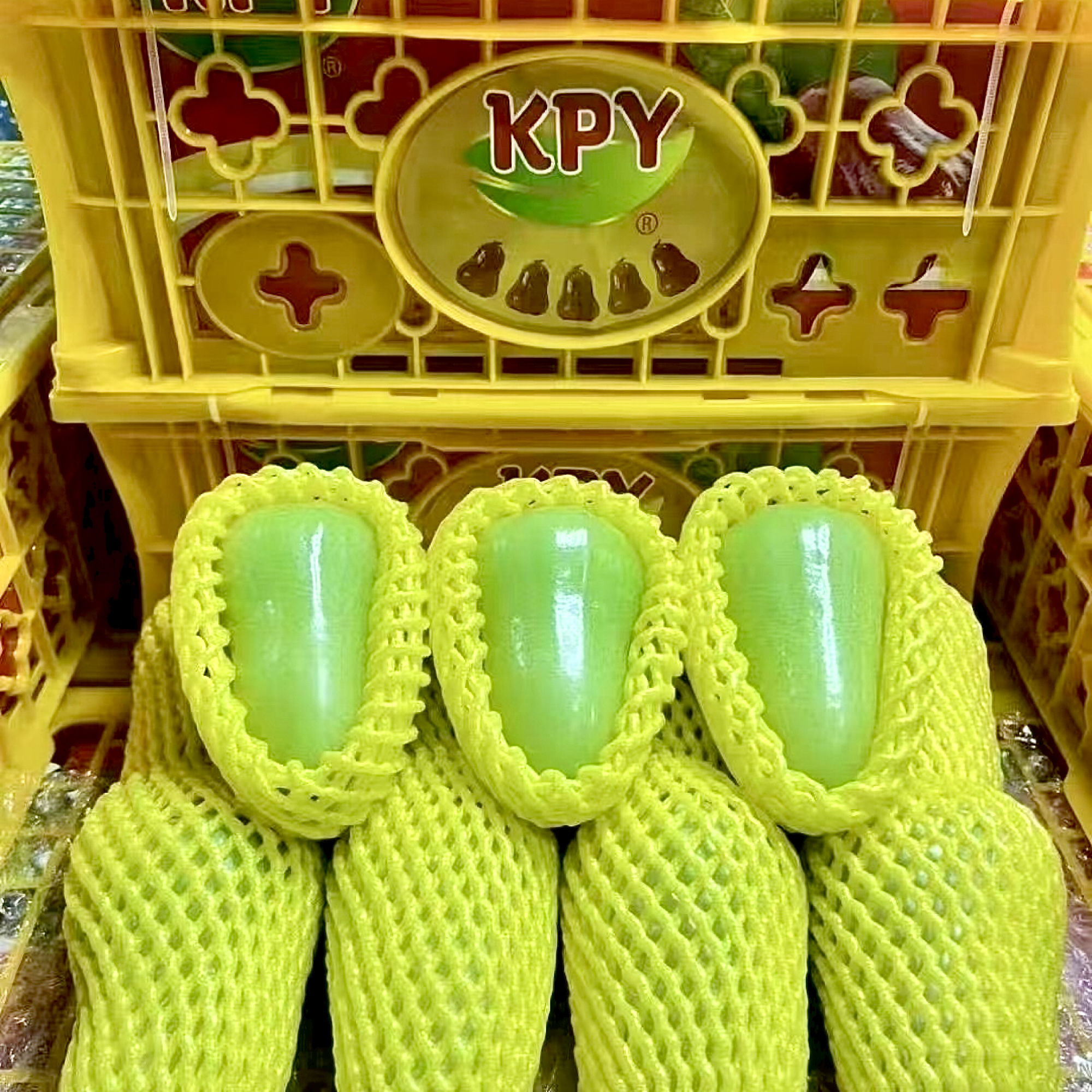 泰国翡翠莲雾泰国青莲雾新品种绿色莲雾脆甜清甜多汁孕妇水果