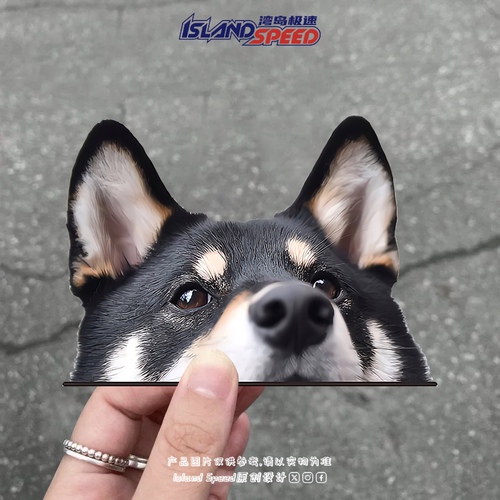 可爱黑色柴犬半头车尾挡风玻璃贴