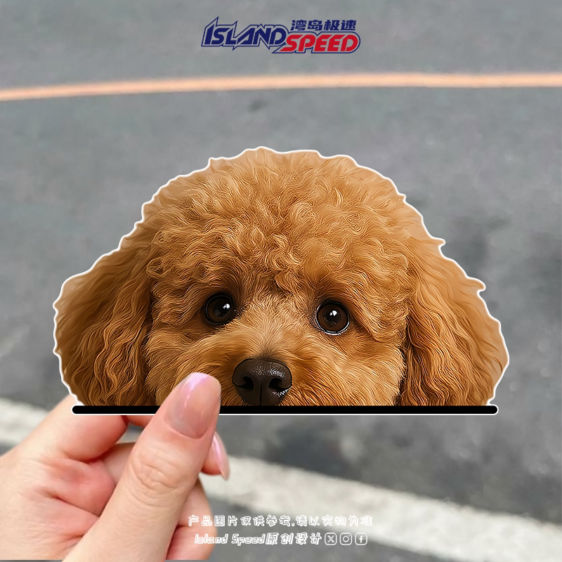 棕色泰迪犬车贴贵宾犬可爱小狗半头设计工具箱汽车车身反光贴花