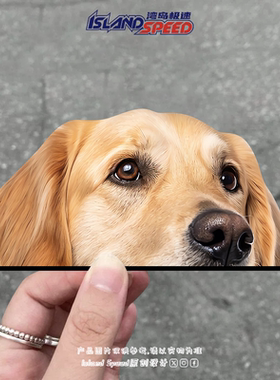 金毛汽车贴纸黄色大狗狗半头创意图案车身电脑装饰贴画