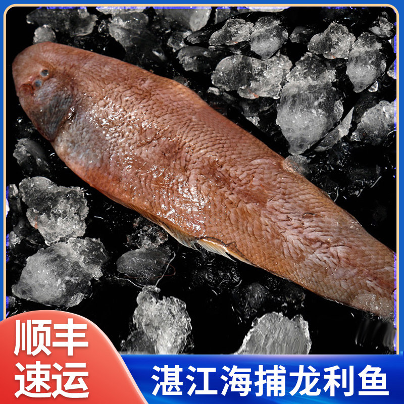 【5斤】龙利鱼舌头鱼新鲜踏板鱼冷冻鲜活海鲜水产非巴沙鱼柳海鱼
