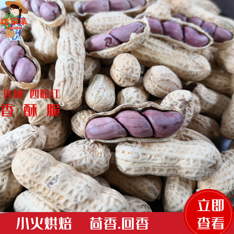 连城红衣花生满口香2021年新带皮古法零食咸香炒货姥家莱