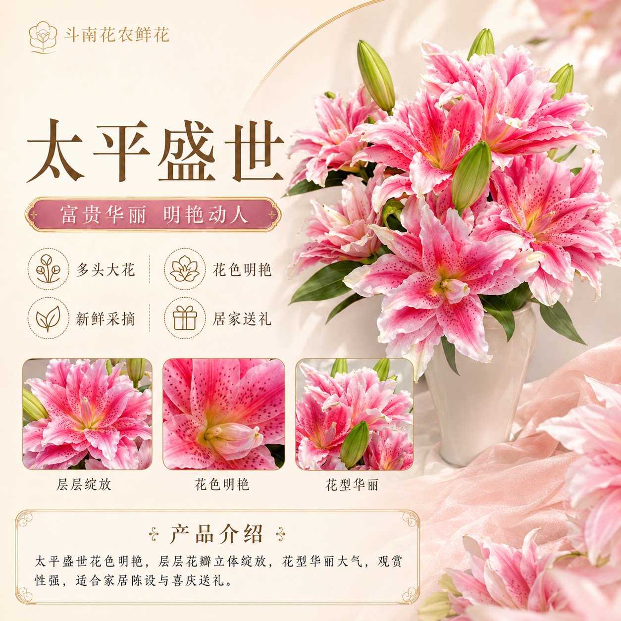 重瓣香水百合鲜切花云南直发图片