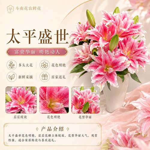 重瓣香水百合鲜切花云南直发