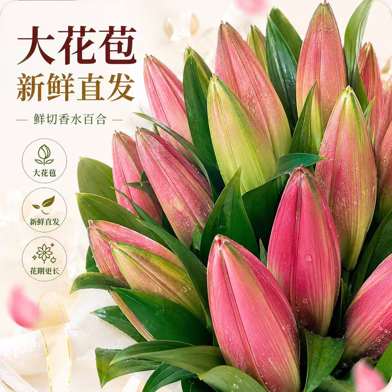香水百合鲜花云南基地直发水培多头鲜切花花束插花插瓶多单瓣花卉