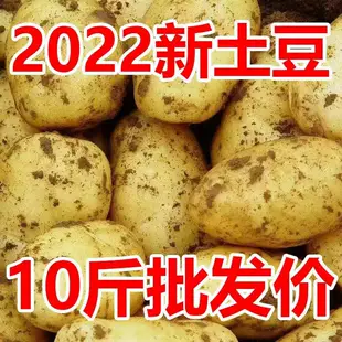 山东新鲜中大土豆5黄皮黄心当季 土豆农家蔬菜带箱10斤马铃薯