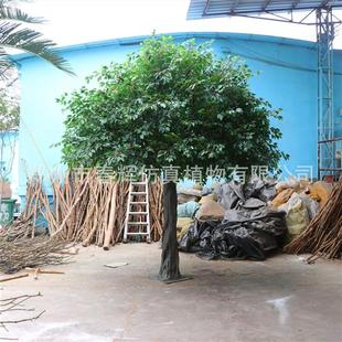 超仿真榕树叶室外防火防晒榕树枝大型景观工程仿生假树自产自销