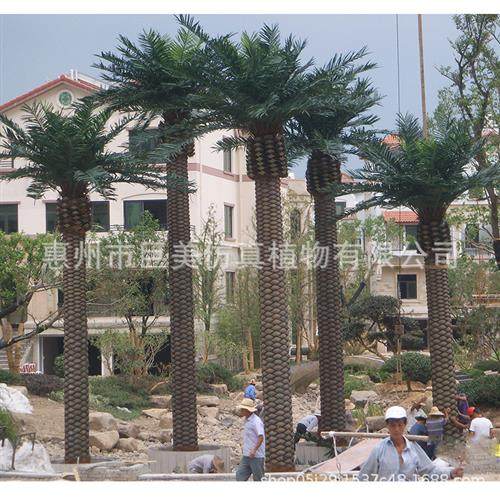 热卖仿真海枣树室内外假树装饰大型造景树加纳利海藻树中东海藻树,特色手工艺,其他特色工艺品,淘宝优惠券,粉丝福利购,淘宝优惠卷