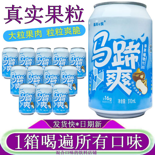 隐雪马蹄爽果粒果肉饮料310ml*12