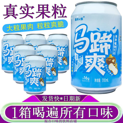 隐雪马蹄爽果粒果肉饮料310ml*6