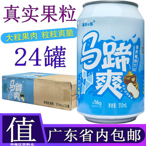 隐雪马蹄爽果粒果肉饮料310ML