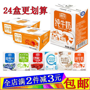 风行纯牛奶200ml*24盒整箱装蓝莓味红枣枸杞高钙奶原味酸奶早餐奶