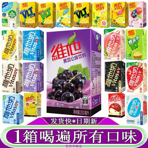 维他黑加伦味饮料250ml混合口味