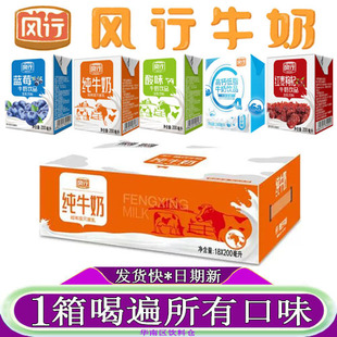 风行纯牛奶200ml*12盒整箱装早餐奶蓝莓高钙低脂红枣枸杞原味酸奶