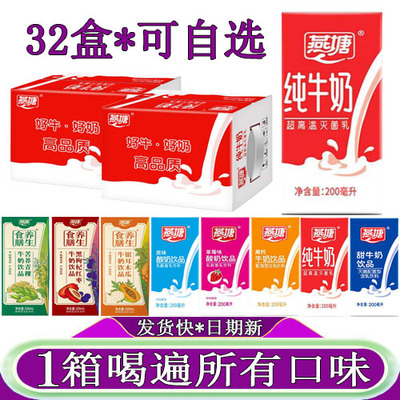燕塘纯牛奶200ml*32盒装原味酸奶