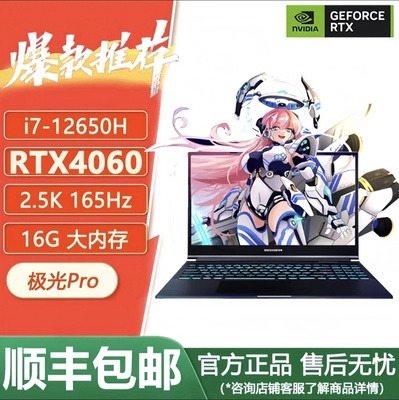 RTX4060独显高性能电竞游戏本