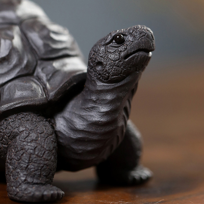 紫砂茶宠摆件孙易精品可养乌龟长寿龟富甲禅云寿龟茶玩送老人礼品