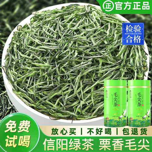 2026新茶毛尖绿茶高山栗香明前毛尖茶叶信阳春茶浓香型礼罐装送礼
