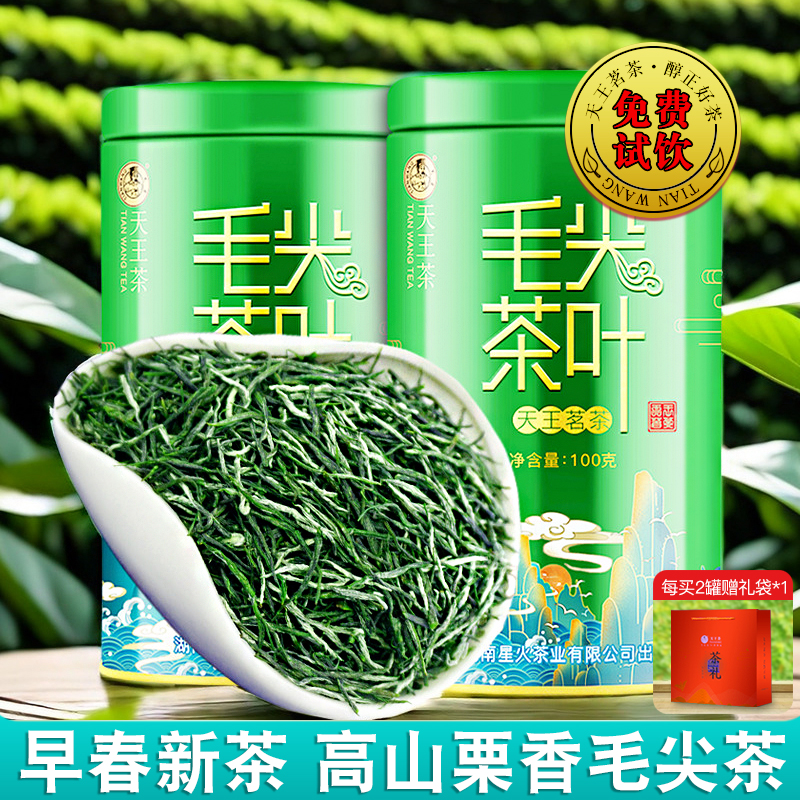毛尖绿茶浓香型茶叶2025新茶散装正宗高山茶礼罐装店有嫩芽碧螺春