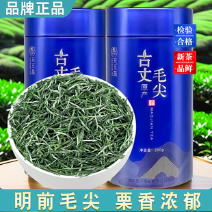 古丈毛尖湘西绿茶叶2025新茶浓香型明前嫩芽礼罐装店有保靖黄金茶