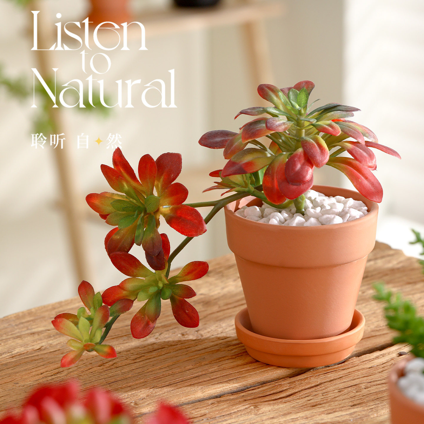 多肉植物组合室内小盆栽陶瓷花盆办公室桌面摆件工位仿真绿植盆景