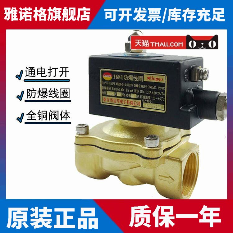 防爆电磁阀天然气燃气矿用4分6分 220v24v带防爆证书黄铜切断阀