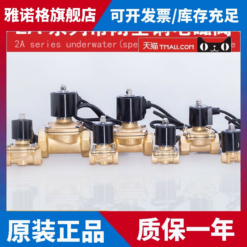 防水电磁阀 水下专用 水阀 跑泉 喷泉电磁阀3分4分6分1寸1.2寸等