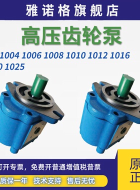 A1FL高压B1FR齿轮泵CBK1004/1006/1008/1010/1012/1016/1020/1025