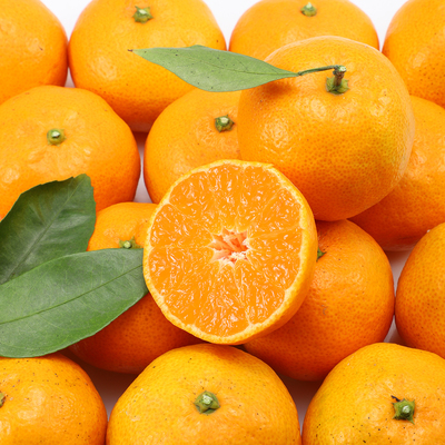 浙江台州临海涌泉蜜桔现摘现发