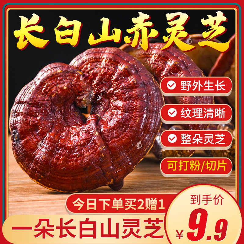 正品野生长白山灵芝干货整枝可切片赤灵芝整朵林芝专用泡酒茶煲汤