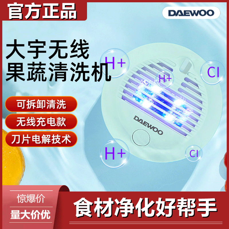daewoo韩国大宇无线果蔬清洗机家用洗菜食材除农残全自动净化机器