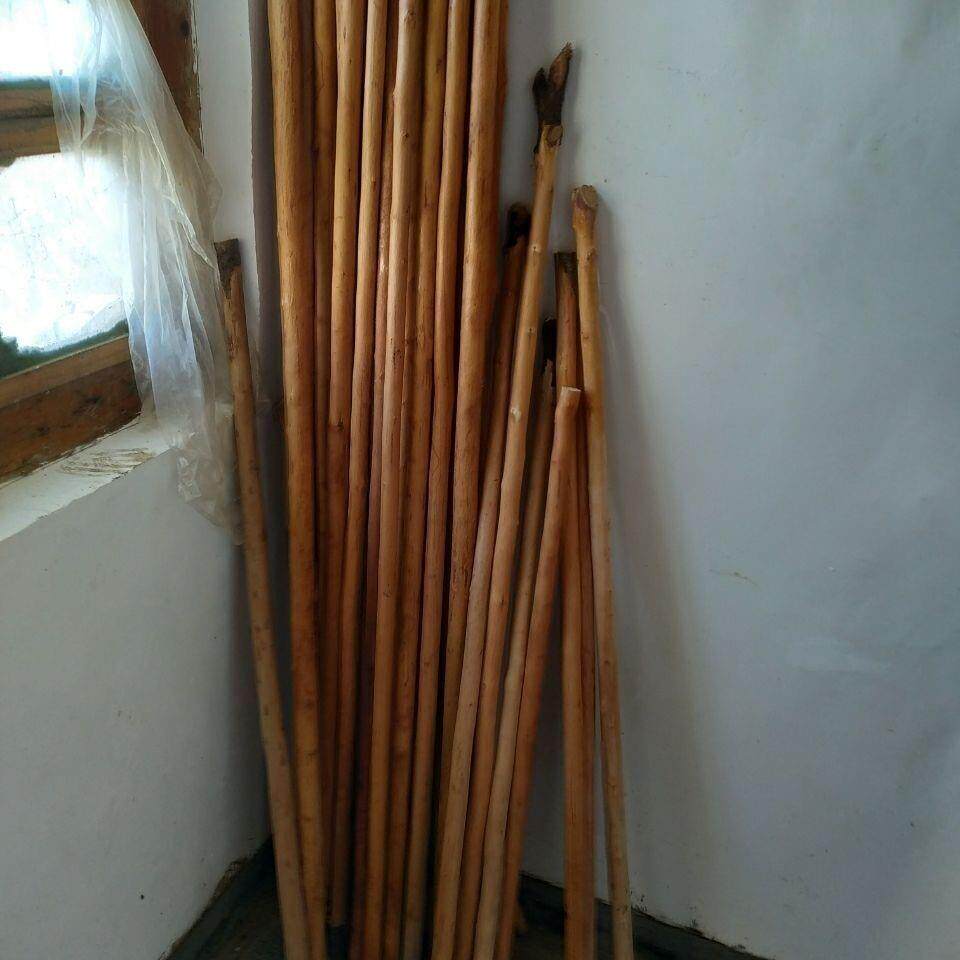 西北鞭杆 野生栒子棍 拧纹栒子牛筋棍 产地甘肃 顺子木武术棍原木