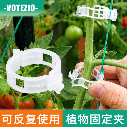 植物绑蔓夹固定卡扣藤蔓支撑器辣椒茄子番茄秧苗定型固定夹子
